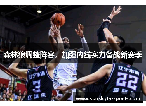 森林狼调整阵容，加强内线实力备战新赛季